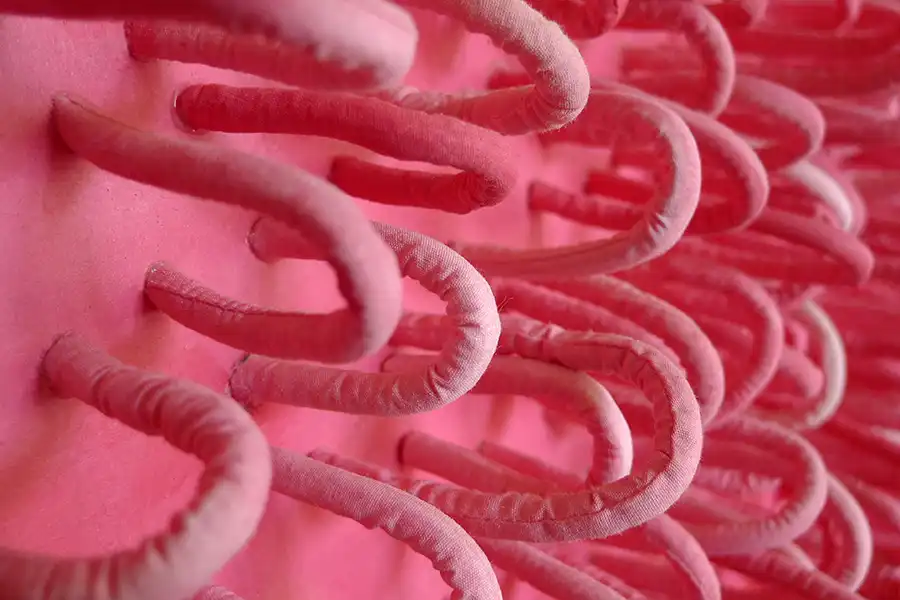 Anemone-rose-detail-Kumiko-Nakajima