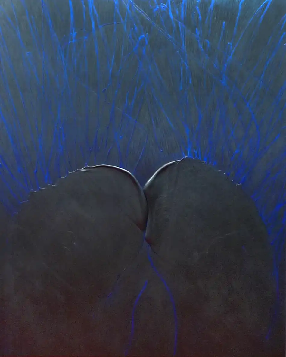 Germination10-2010-Matsutani-Takesada-comparaisons-2012